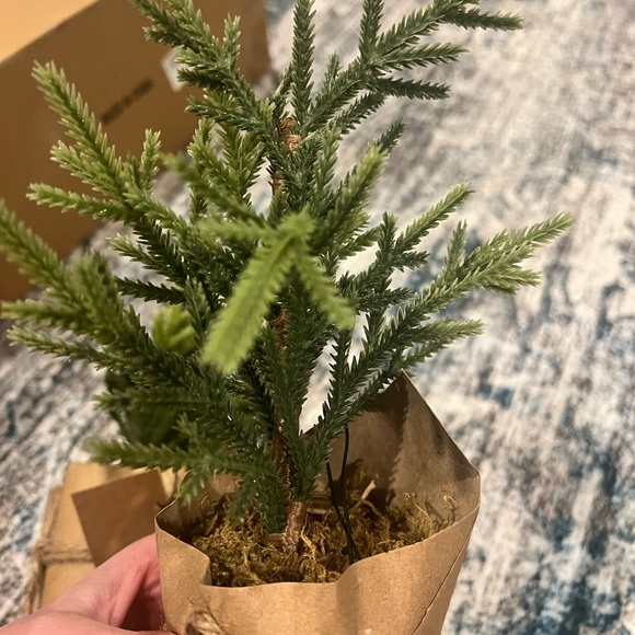 2 Trees/Plant decor - Picture 7 of 7